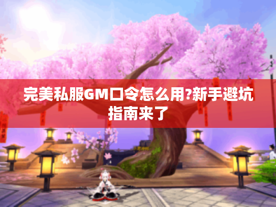 完美私服GM口令怎么用?新手避坑指南来了