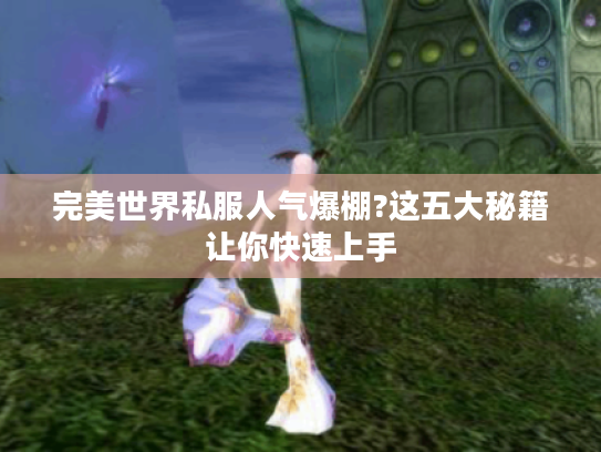 完美世界私服人气爆棚?这五大秘籍让你快速上手