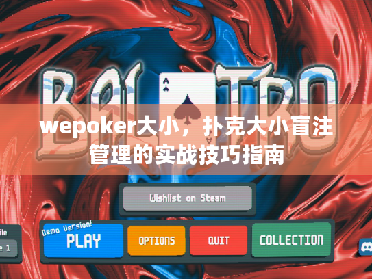 wepoker大小，扑克大小盲注管理的实战技巧指南