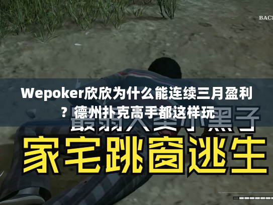 Wepoker欣欣为什么能连续三月盈利？德州扑克高手都这样玩