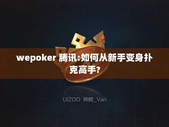 wepoker 腾讯:如何从新手变身扑克高手?