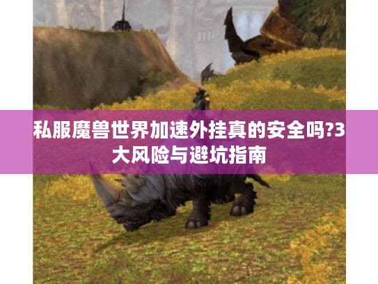 私服魔兽世界加速外挂真的安全吗?3大风险与避坑指南