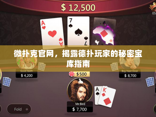 微扑克官网，揭露德扑玩家的秘密宝库指南