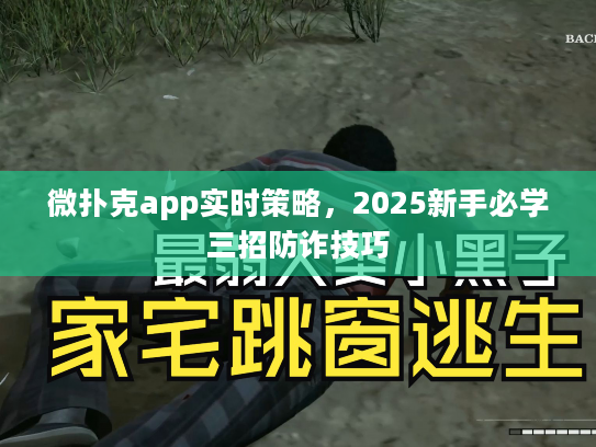 微扑克app实时策略，2025新手必学三招防诈技巧