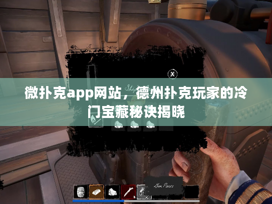 微扑克app网站，德州扑克玩家的冷门宝藏秘诀揭晓