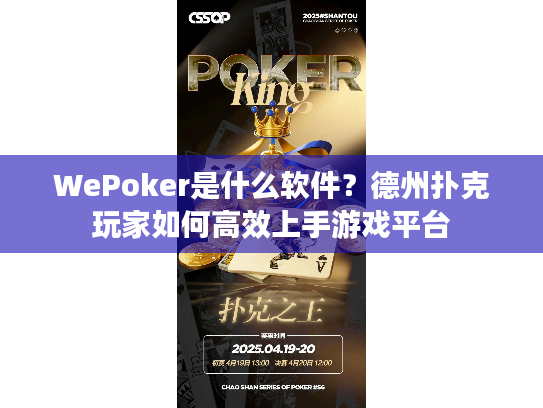 WePoker是什么软件？德州扑克玩家如何高效上手游戏平台