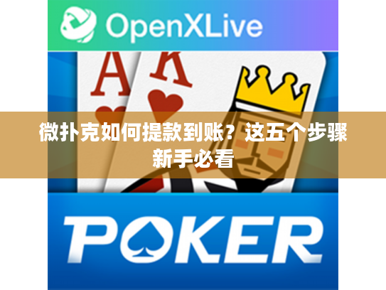微扑克如何提款到账？这五个步骤新手必看