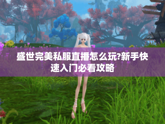 盛世完美私服直播怎么玩?新手快速入门必看攻略