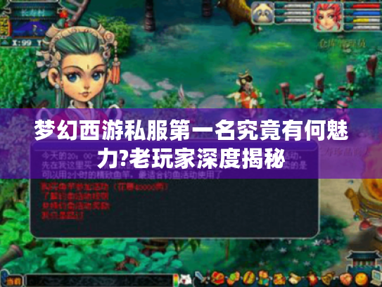 梦幻西游私服第一名究竟有何魅力?老玩家深度揭秘