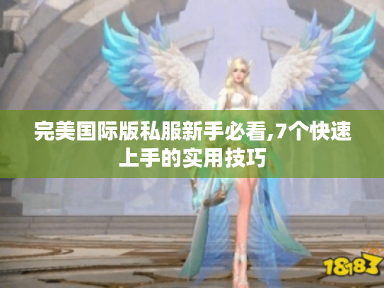 完美国际版私服新手必看,7个快速上手的实用技巧