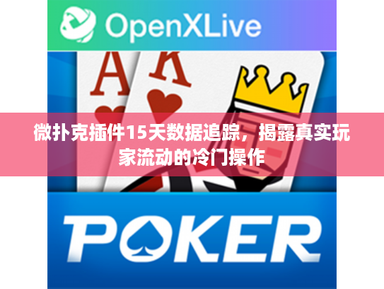 微扑克插件15天数据追踪，揭露真实玩家流动的冷门操作