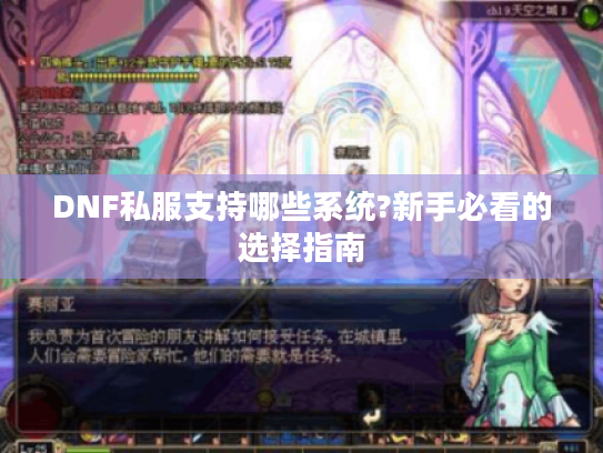 DNF私服支持哪些系统?新手必看的选择指南