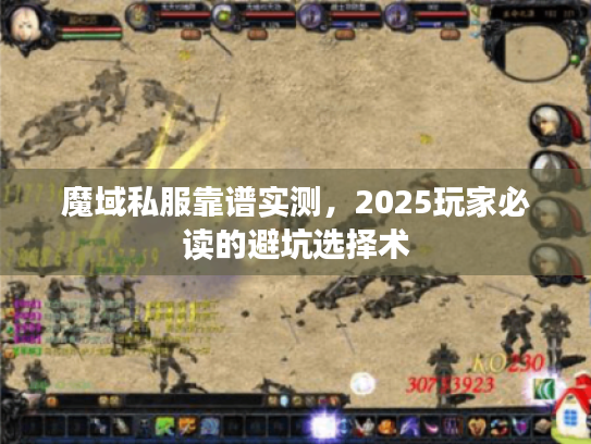魔域私服靠谱实测，2025玩家必读的避坑选择术