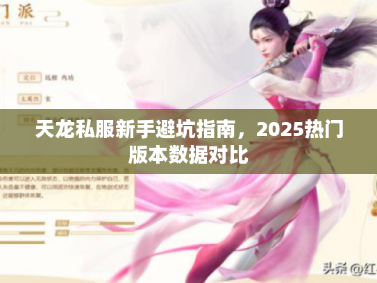 天龙私服新手避坑指南，2025热门版本数据对比
