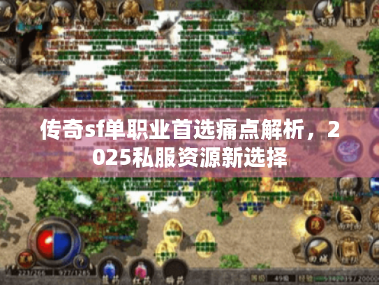 传奇sf单职业首选痛点解析，2025私服资源新选择