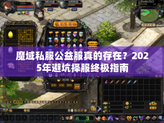 魔域私服公益服真的存在？2025年避坑择服终极指南