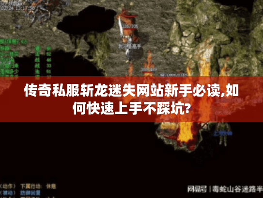 传奇私服斩龙迷失网站新手必读,如何快速上手不踩坑? 传奇私服斩龙迷失网站新手必读,如何快速上手不踩坑?