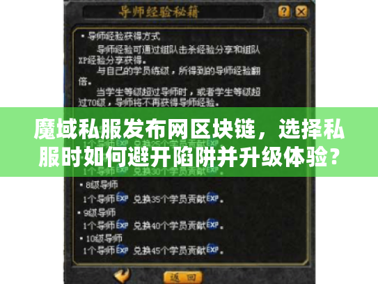魔域私服发布网区块链，选择私服时如何避开陷阱并升级体验？