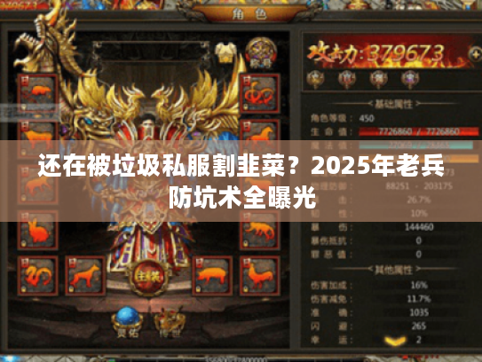 还在被垃圾私服割韭菜？2025年老兵防坑术全曝光