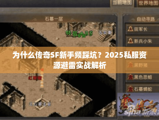 为什么传奇SF新手频踩坑？2025私服资源避雷实战解析