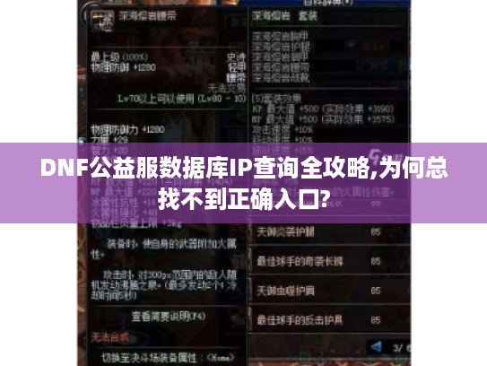 DNF公益服数据库IP查询全攻略,为何总找不到正确入口?