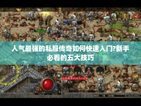 人气最强的私服传奇如何快速入门?新手必看的五大技巧