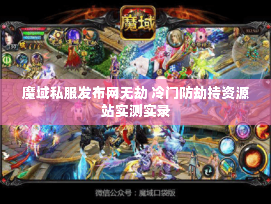 魔域私服发布网无劫 冷门防劫持资源站实测实录