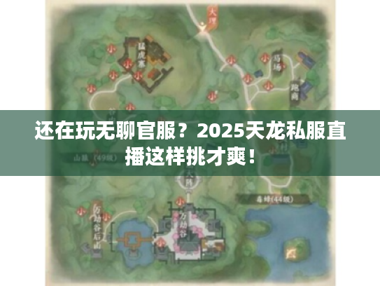 还在玩无聊官服？2025天龙私服直播这样挑才爽！