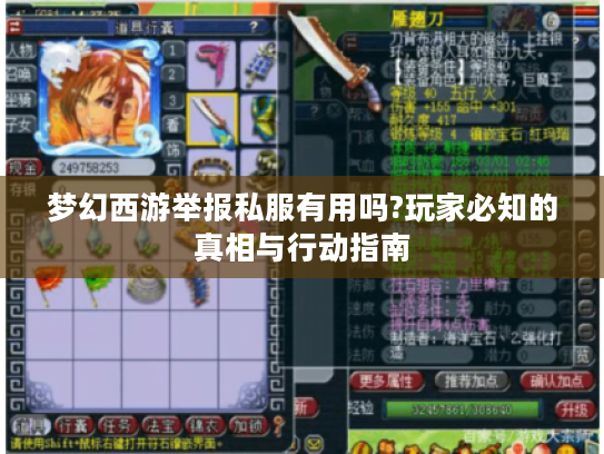 梦幻西游举报私服有用吗?玩家必知的真相与行动指南