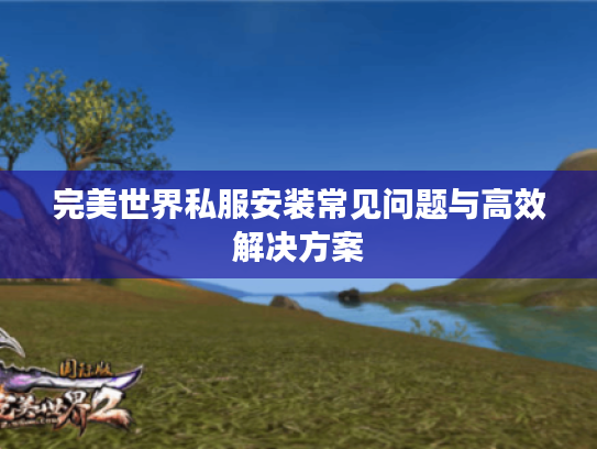 完美世界私服安装常见问题与高效解决方案