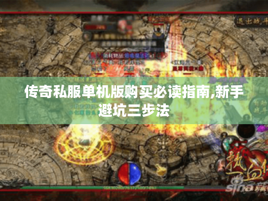 传奇私服单机版购买必读指南,新手避坑三步法