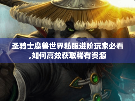 圣骑士魔兽世界私服进阶玩家必看,如何高效获取稀有资源