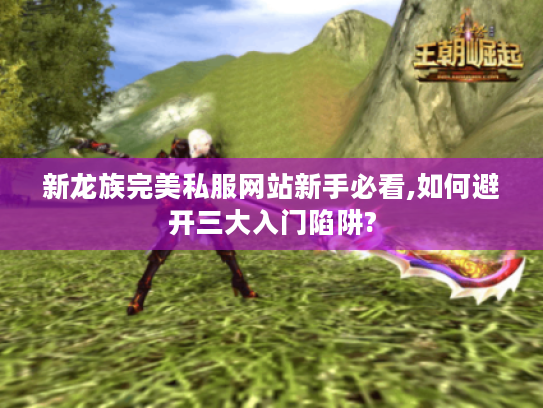 新龙族完美私服网站新手必看,如何避开三大入门陷阱? 新龙族完美私服网站新手必看,如何避开三大入门陷阱?