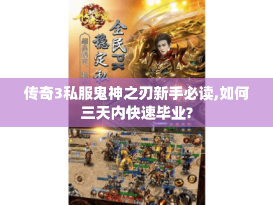传奇3私服鬼神之刃新手必读,如何三天内快速毕业?