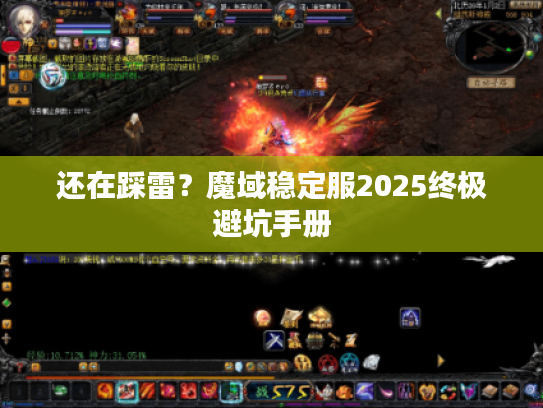 还在踩雷？魔域稳定服2025终极避坑手册