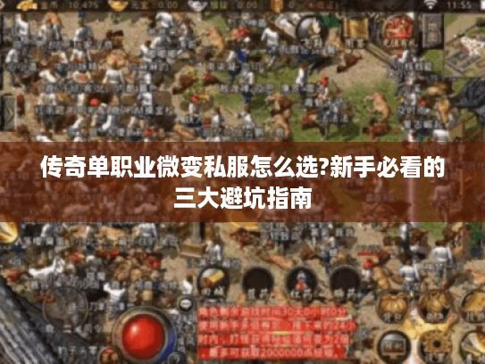传奇单职业微变私服怎么选?新手必看的三大避坑指南