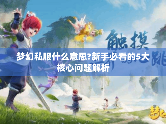 梦幻私服什么意思?新手必看的5大核心问题解析