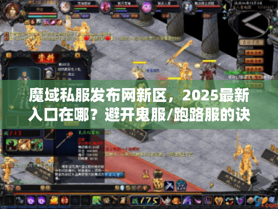 魔域私服发布网新区，2025最新入口在哪？避开鬼服/跑路服的诀窍