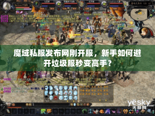 魔域私服发布网刚开服，新手如何避开垃圾服秒变高手？