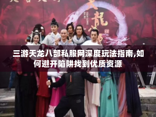 三游天龙八部私服网深度玩法指南,如何避开陷阱找到优质资源