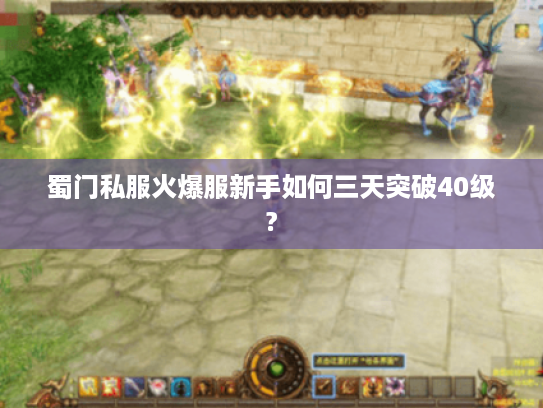 蜀门私服火爆服新手如何三天突破40级? 蜀门私服火爆服新手如何三天突破40级?