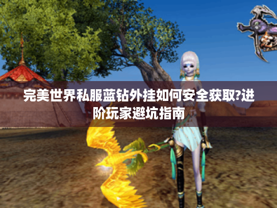 完美世界私服蓝钻外挂如何安全获取?进阶玩家避坑指南