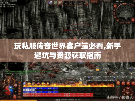 玩私服传奇世界客户端必看,新手避坑与资源获取指南