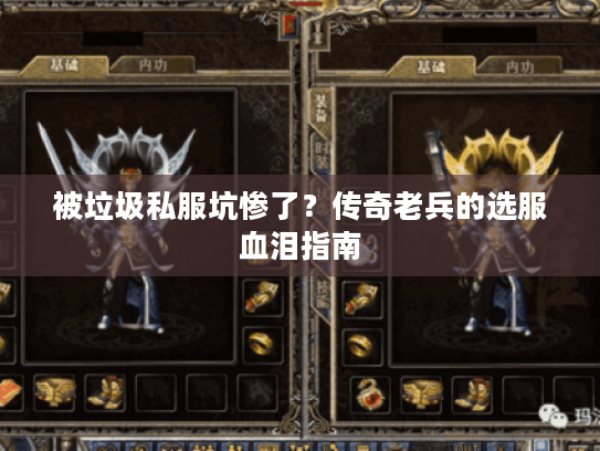 被垃圾私服坑惨了？传奇老兵的选服血泪指南