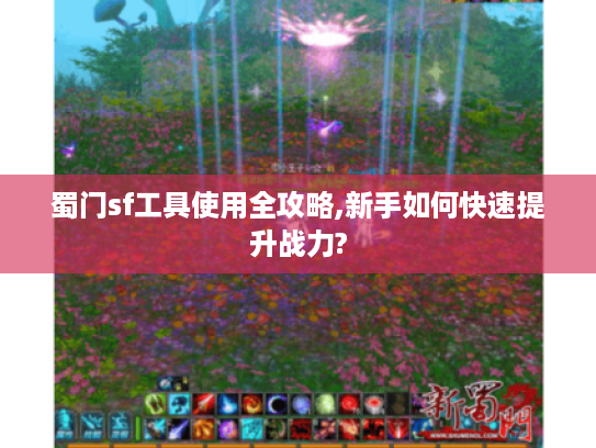 蜀门sf工具使用全攻略,新手如何快速提升战力?