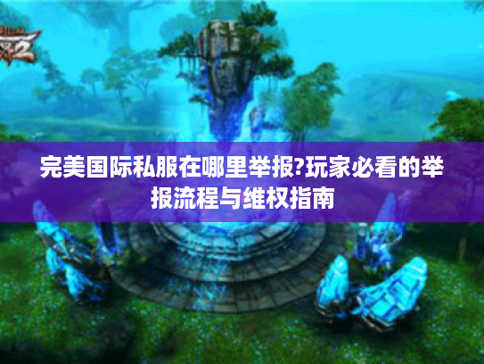 完美国际私服在哪里举报?玩家必看的举报流程与维权指南