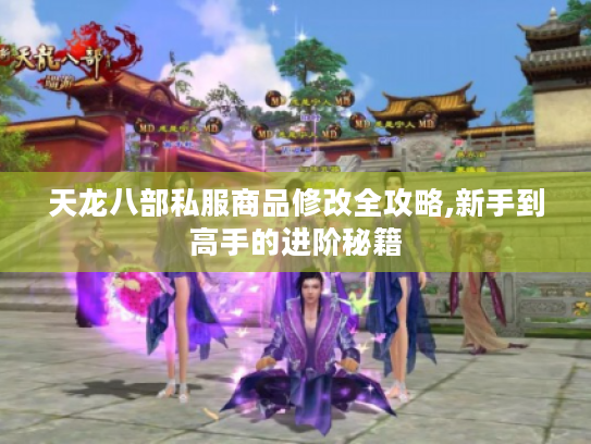 天龙八部私服商品修改全攻略,新手到高手的进阶秘籍