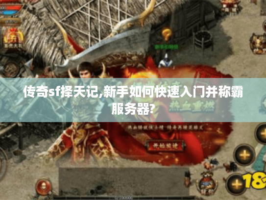 传奇sf择天记,新手如何快速入门并称霸服务器?