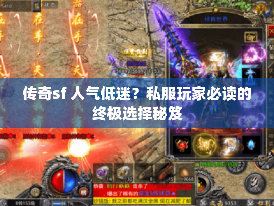 传奇sf 人气低迷？私服玩家必读的终极选择秘笈