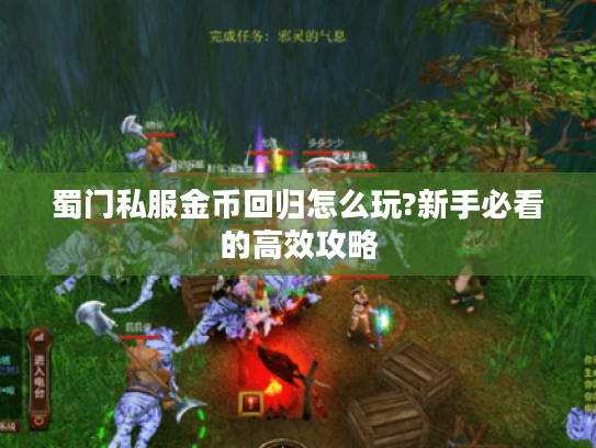 蜀门私服金币回归怎么玩?新手必看的高效攻略